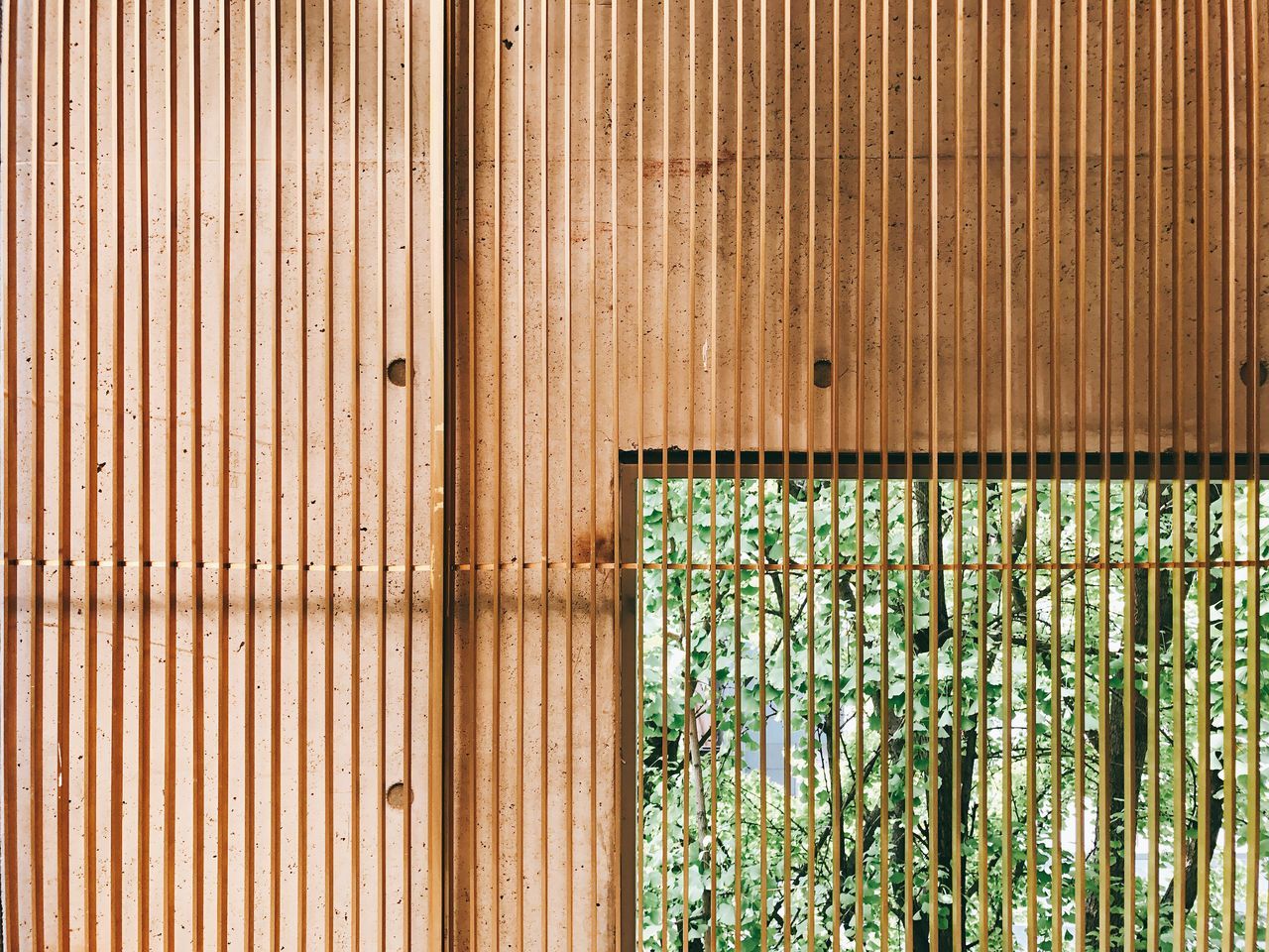 pattern, corrugated iron, bamboo - plant, plant, day, full frame, built structure, backgrounds, outdoors, no people, architecture, textured, industry, building exterior, nature, close-up