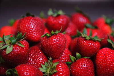 Close-up of berries on red berries