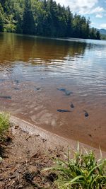 High angle view of calm lake