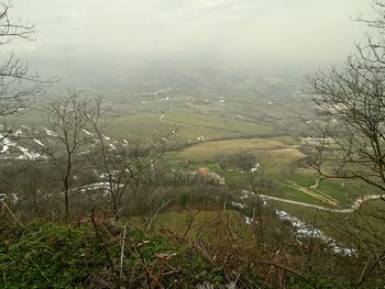 Scenic view of forest against sky