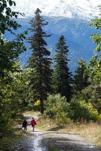 Rear view of friends walking on field at forest