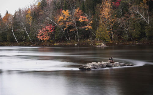 Scenic view of lake in forest during autumn