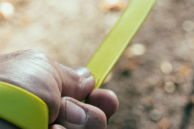 Close-up of hand holding leaf