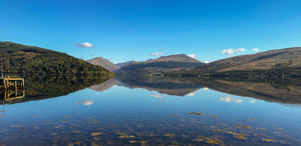 Reflection of trees in calm lake