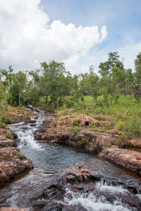 Stream flowing amidst trees in forest against sky