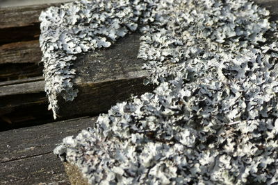 High angle view of snow on rock
