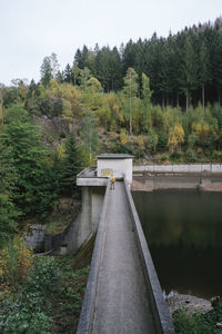 Bridge amidst trees in forest against sky