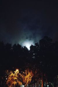 Low angle view of trees against sky at night