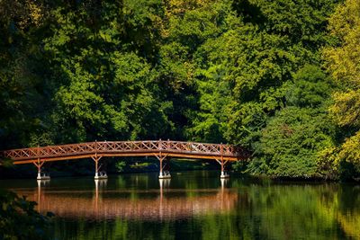 Built wooden bridge in lake against trees in forest