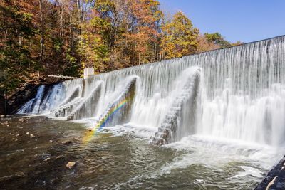 Scenic view of waterfall in forest