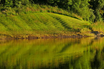 Scenic view of lake