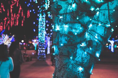 View of illuminated trees at night