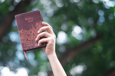Cropped hand of woman holding bible