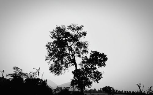 Low angle view of silhouette trees against clear sky