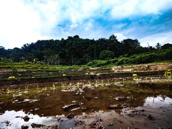 Scenic view of lake against sky