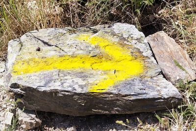 High angle view of yellow stones on field