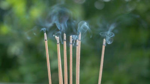 Close-up of burning incense sticks