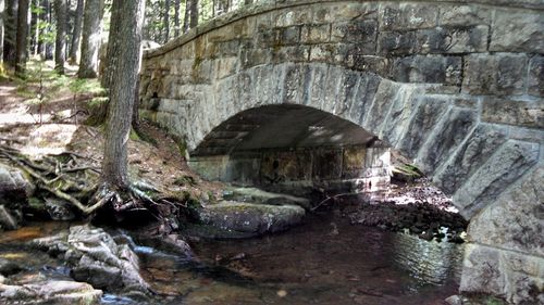 Arch bridge over river in forest