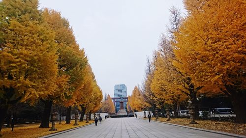 Road amidst trees against clear sky during autumn