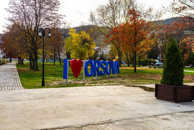 Trees in park during autumn