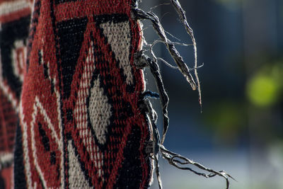 Close-up of red decoration hanging outdoors