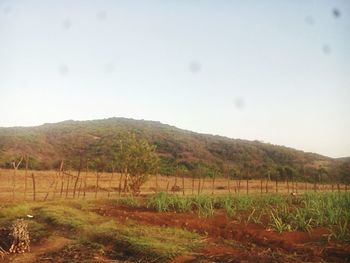 Scenic view of agricultural field and mountains against sky