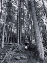 Black and white rear view of woman walking a dog through a pine forest