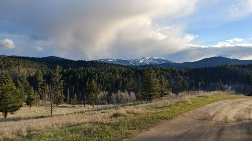 Panoramic shot of road amidst trees against sky