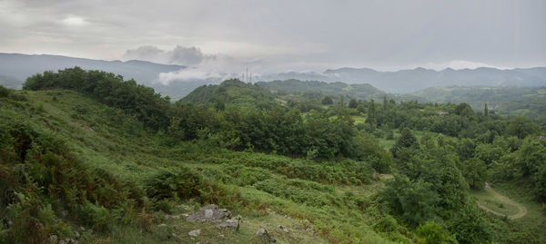 Scenic view of landscape against sky