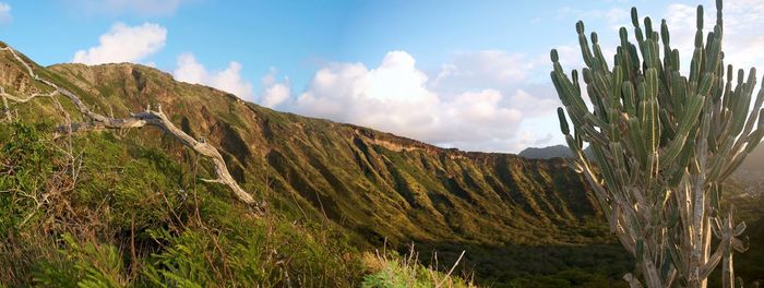 Panoramic view of green landscape against sky