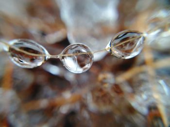 Close up of glasses