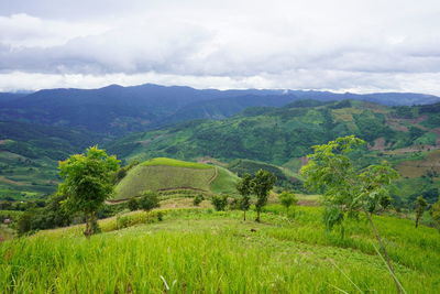 Scenic view of landscape and mountains against sky