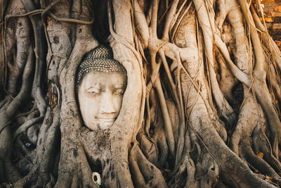 Statue of statues in temple