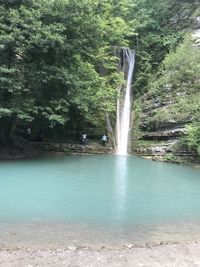 Scenic view of waterfall in forest