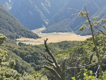 Scenic view of landscape and mountains