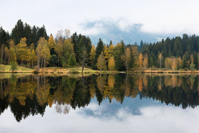 Idyllic colorful autumn scenery with reflecting in alpine mountain lake on a foggy day. austria