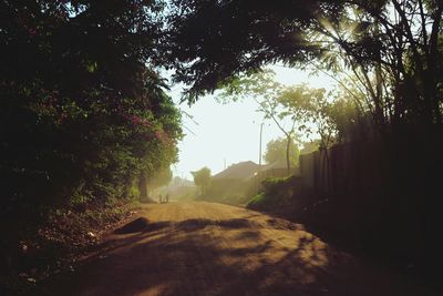 Dirt road amidst trees against sky