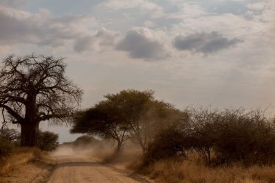 Dirt road amidst trees against sky