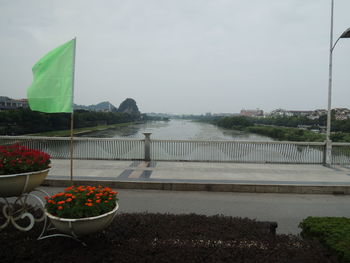 Potted plants by river against sky