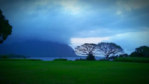 Scenic view of grassy field against cloudy sky