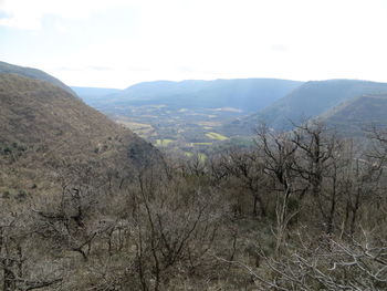 Scenic view of landscape against sky