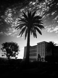 Palm trees against cloudy sky