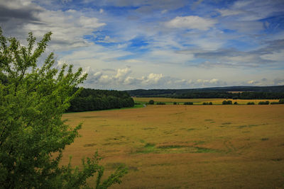 Scenic view of field against sky
