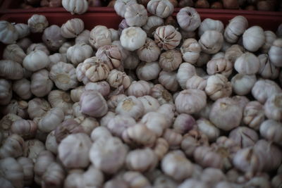 Close-up of blueberries for sale in market