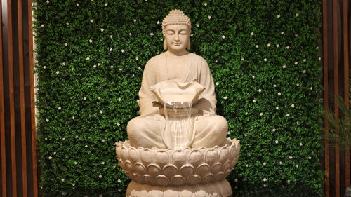 Statue of buddha against plants