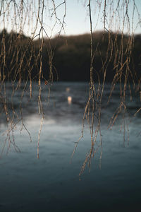 Close-up of sea against sky at sunset