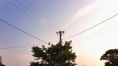 Low angle view of silhouette tree against sky at dusk