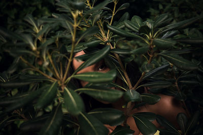 Portrait of woman peeking through leaves in forest