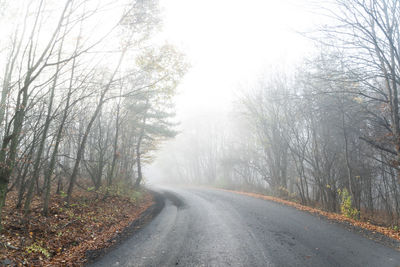 Road amidst trees during winter