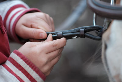 Cropped image of hands holding pet leash